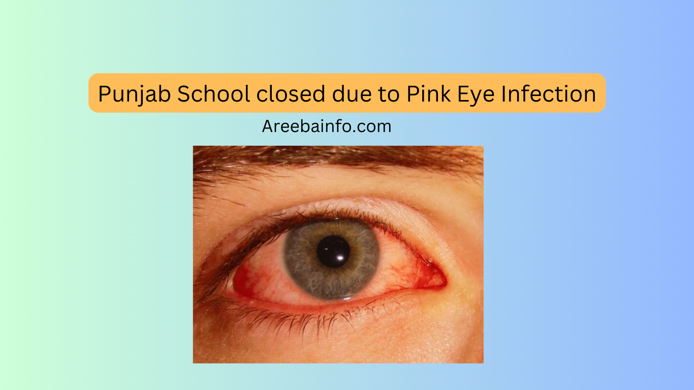 Punjab Schools Closed for 1 day Due to an Eye Infection